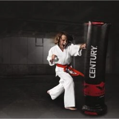 Century Boxdummy Versys™ "V Spar 1" 5 Century Boxdummy Versys™ "V Spar 1" -Fitnessgeräte 132 2008 1