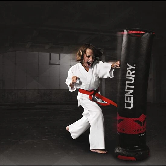 Century Boxdummy Versys™ "V Spar 1" 4 Century Boxdummy Versys™ "V Spar 1" – Bild 2