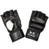 Hammer Boxhandschuhe "Premium" -Fitnessgeräte 149 9979